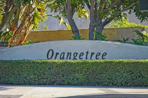 Orangetree Community